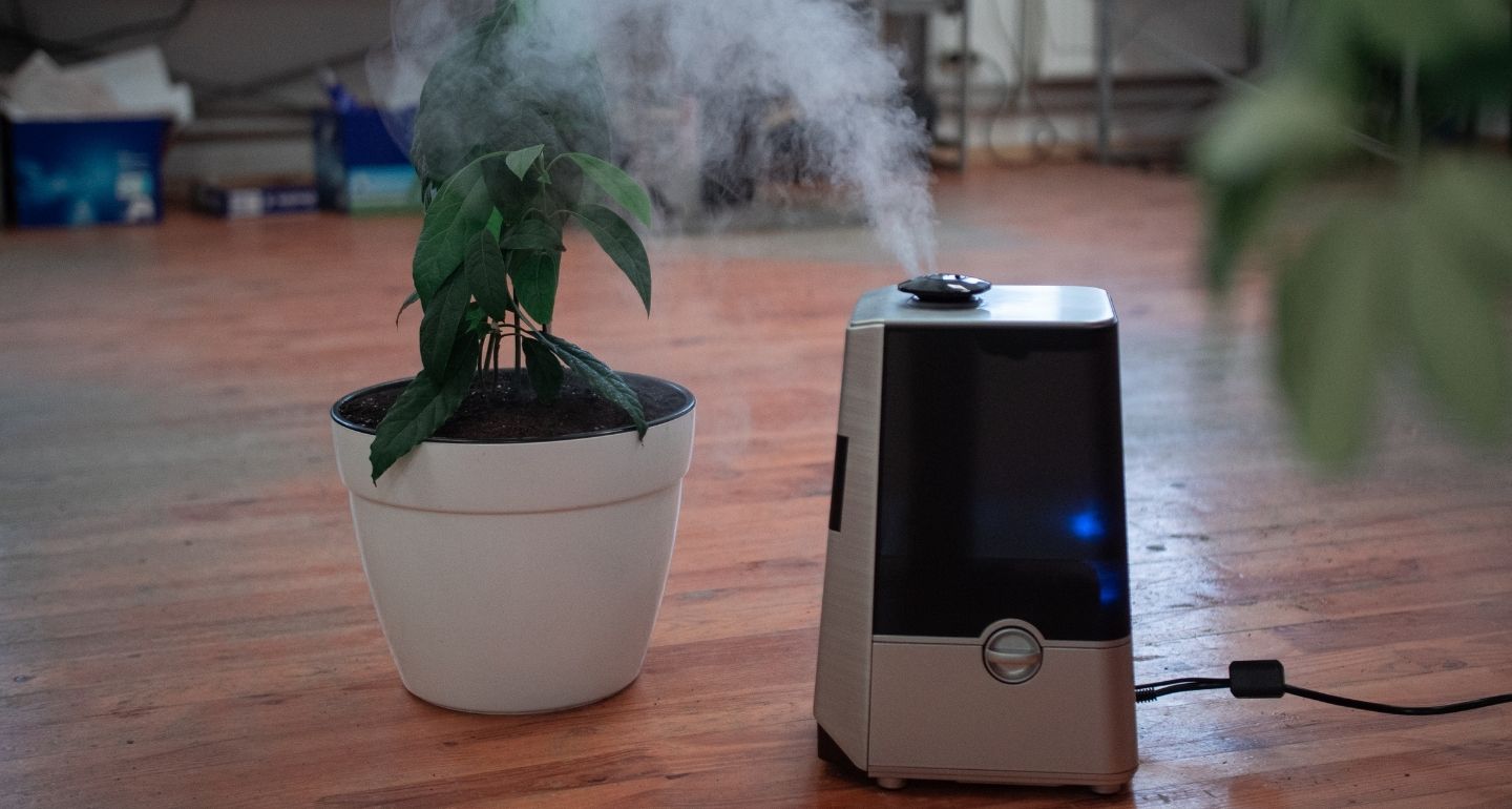 Best-Humidifier-India