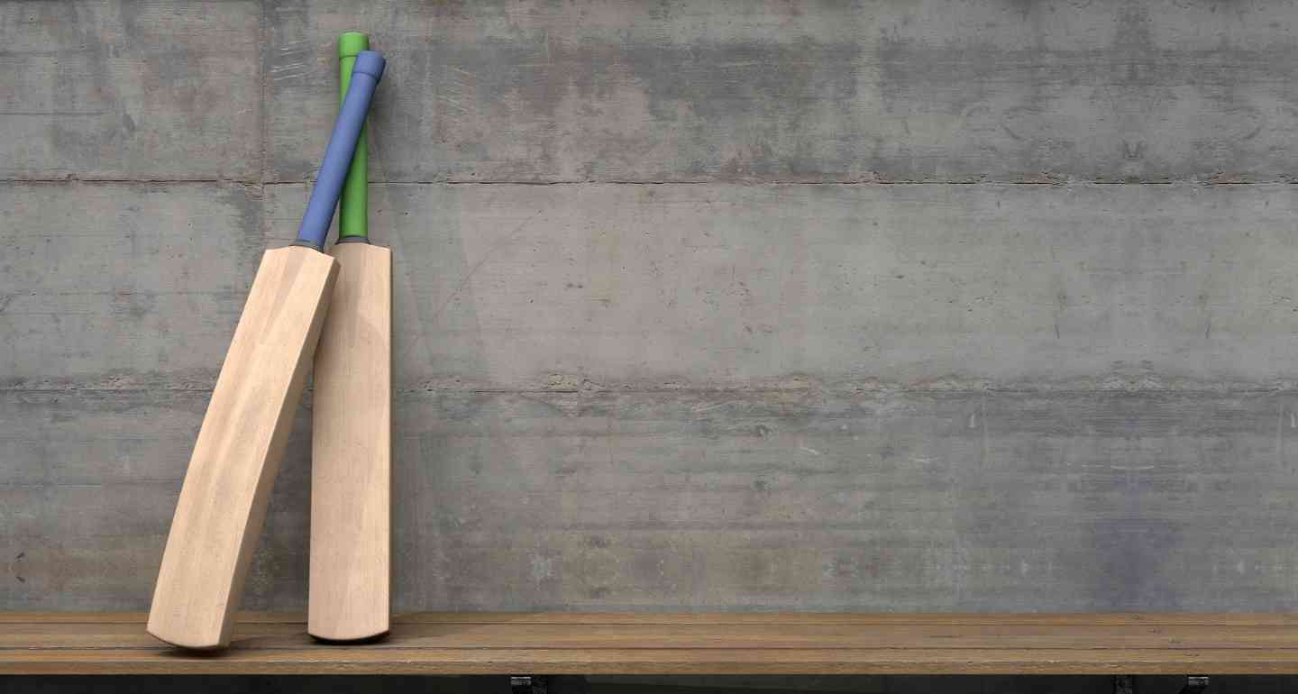 Top-Cricket-Bats-in-India