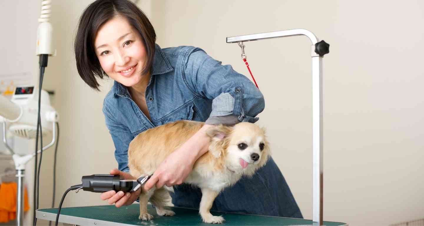 Top-Best-pet-hair-trimmers-in-India